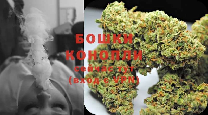 Бошки Шишки THC 21%  Ставрополь 